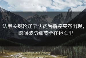 法甲关键轮辽宁队赛后指控突然出现，一瞬间破防细节全在镜头里