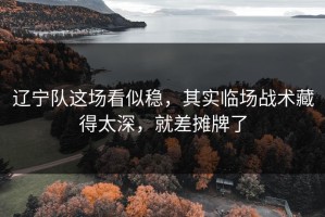 辽宁队这场看似稳，其实临场战术藏得太深，就差摊牌了